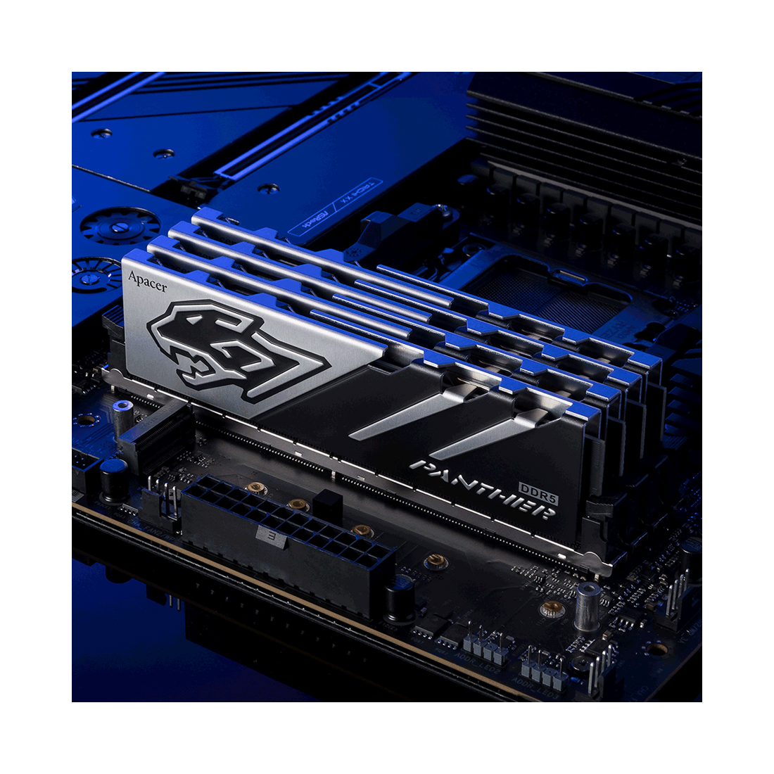 Комплект модулей памяти Apacer Panther AH5U32G52C5227BAA-2 DDR5 32GB (Kit 2x16GB)