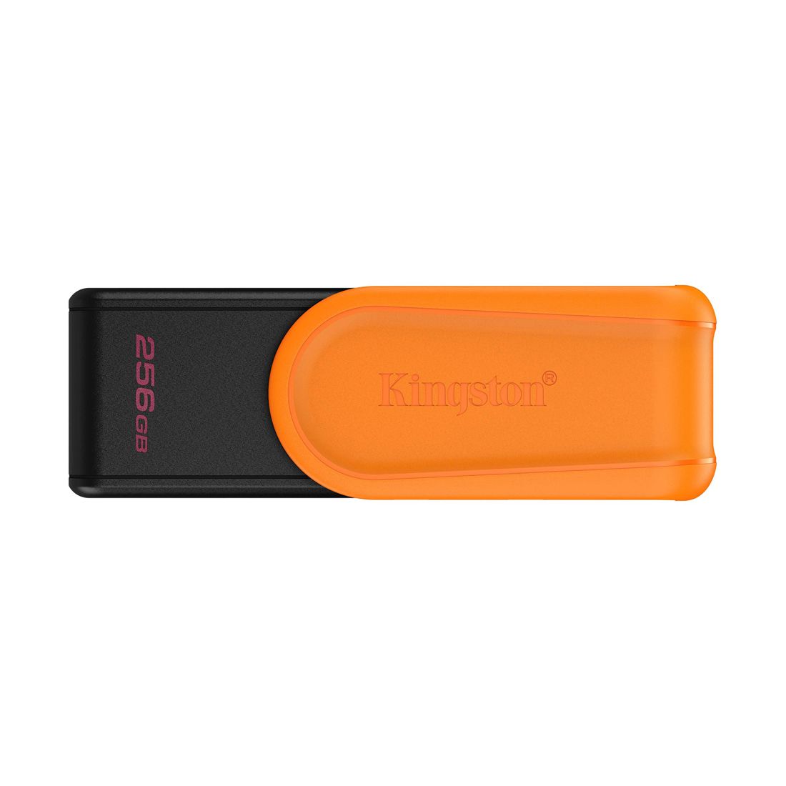 USB-накопитель Kingston DTXS/256GB 256GB